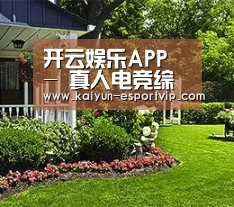 开云娱乐APP - 真人电竞综合平台