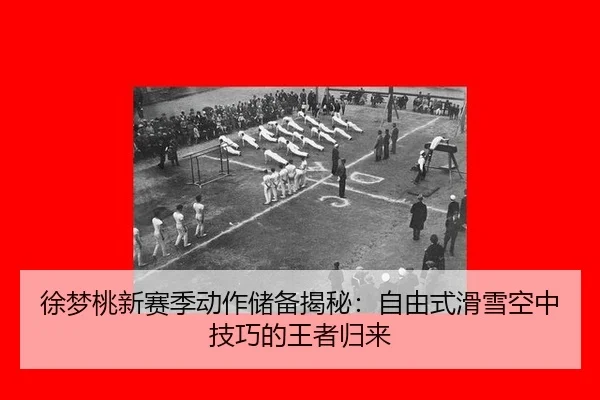xu-meng-tao-xin-sai-ji-dong-zuo-chu-bei-jie-mi-zi-you-shi-hua-xue-kong-zhong-ji-qiao-de-wang-zhe-gui-lai-3-936.jpg
