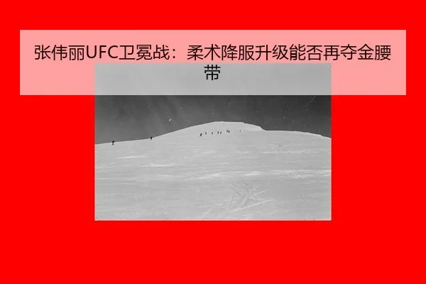 zhang-wei-li-wei-mian-zhan-rou-shu-xiang-fu-sheng-ji-neng-fou-zai-duo-jin-yao-dai-3-323.jpg