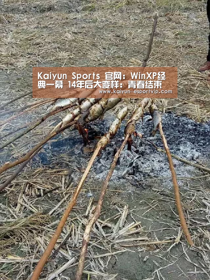Kaiyun Sports 官网:WinXP经典一幕 14年后大变样:青春结束(图1) 开云电子