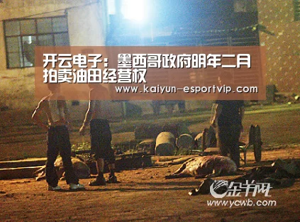 开云电子:墨西哥政府明年二月拍卖油田经营权(图2) 开云娱乐APP